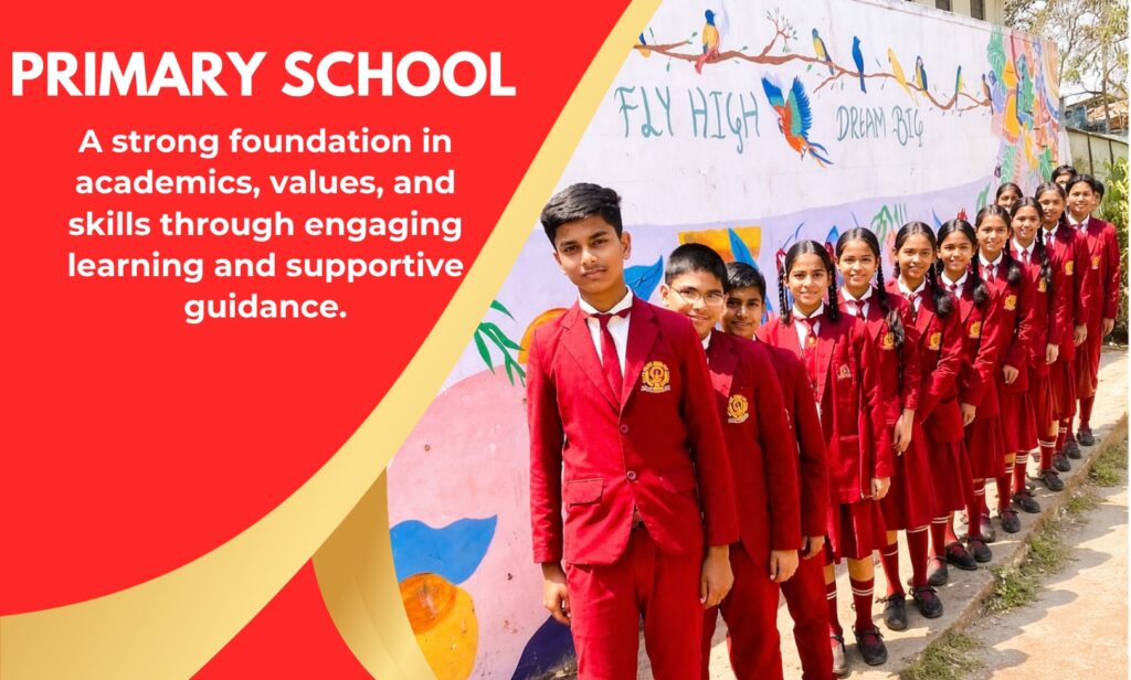 Primary School Student